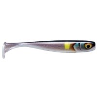 TOCK MINNOW TOM04 AA
