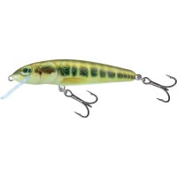 Salmo Minnow 7cm 8g Sinking Minnow