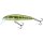 Salmo Minnow 7cm 8g Sinking Minnow