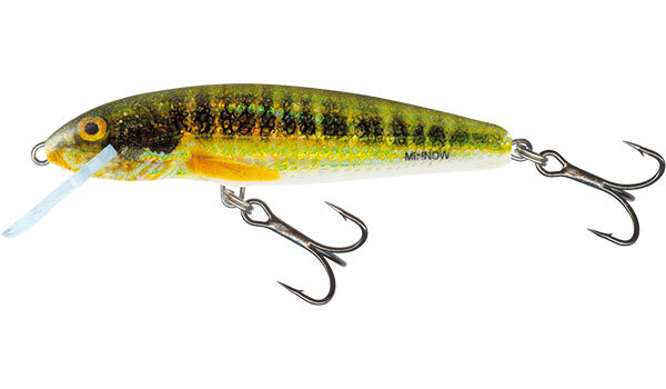 Salmo Minnow 7cm 8g Sinking Holo Real Minnow