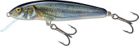 Salmo Minnow 7cm 8g Sinking Spirlin