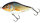 Salmo Slider 10cm Sinking 46g Real Roach