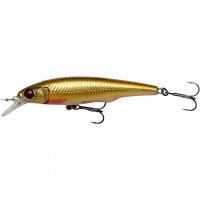 Savage Gear Gravity Twitch SR 14,5cm / 50g F Dirty Roach