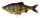 Savage Gear 4D Line Thru Roach 18CM 80G Slow Sink Perch