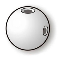Stonfo Beads Matchplus - Doppellochperle transparent 24 Stück 0,25mm/0,35mm