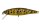 Illex Tiny Fry 50 SP Native Brown Trout