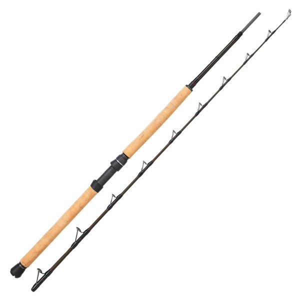 Westin W4 Boat 2m 20-30lbs 2-teilig