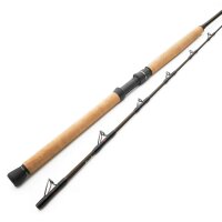 Westin W4 Boat 2m 20-30lbs 2-teilig
