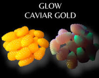 SE Hooks Roggy mini glow Caviar