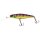 Illex DD Squirrel 67 SP HL Gold Perch