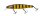 Illex / Jackall Arnaud 110F / 18g Zander Bee
