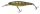 Illex / Jackall Squirrel 76 SP Aggressive Perch