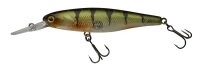 Illex / Jackall Squirrel 76 SP Ghost Perch