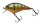 Illex / Jackall Aska 60 SR Aggressive Perch