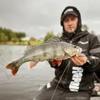 Rapala Crushcity The Kickman 7,5cm 10cm 12,5cm Gummifisch