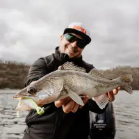 Rapala Crushcity The Kickman 7,5cm 10cm 12,5cm Gummifisch