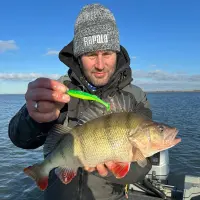 Rapala Crushcity The Kickman 7,5cm 10cm 12,5cm Gummifisch