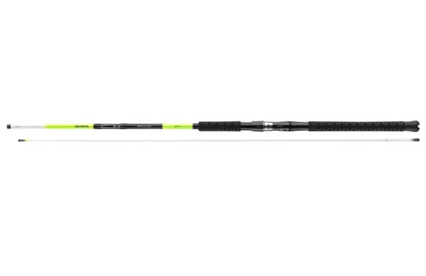 Daiwa Sealine SLZ 2,25m 100-250g 2 teilig