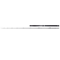 Balzer Valhall Boat 20 2,10m / 200-600g