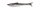 Zeck Baby Rippler 12 cm Moor Silver 3 Stück