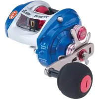WFT B-Sea Giant Multirolle + Extra Spule