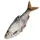 Quantum Mr. Pike Float Rig 50cm
