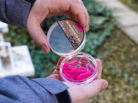 Spro Trout Master Dendrobaena 60mm Pearl