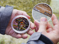 Spro Trout Master Dendrobaena 60mm Pearl