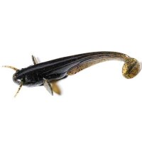 Fishup Catfish 3" #043 Watermelon Brown Black