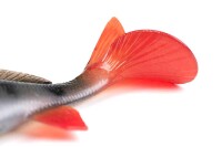 Fox Rage Ultra Naturals Replicant Perch