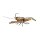Live Target Live Craw 50mm 11g Orange Pumpkin