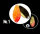 Deep Paradox Gravity 1,65g #01 Flame First