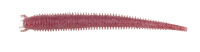 Berkley Gulp Fat Sandworm Clear Red Fleck 4" / 10cm