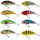 Salmo Fatso 10cm Jerkbait