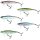 Salmo Thrill 5cm 6,5g Sinking Wobbler