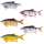 Westin Ricky the Roach Inline Swimbait zum Raubfischangeln