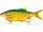 Westin Ricky the Roach Inline Swimbait zum Raubfischangeln