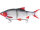 Westin Ricky the Roach Inline Swimbait zum Raubfischangeln