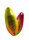 Antem Dohna 2,5g CE-24-18 gold chartreuse orange