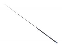 Eisele Bootsrute Two in One 200cm mit 2 Spitzen...