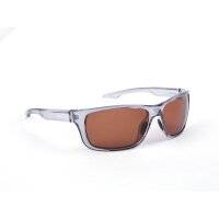 Shimano Polbrille Transparent Grey & Copper