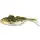 Westin Gunnar The Goby Shadtail 6,5cm Black Mouth 3 Stück