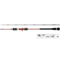 Hearty Rise Slow Jigging IV 1,59m 800g Casting