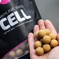 Mainline Boilie 20mm 1Kg Cell