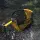 Sportex Carbon Watkescher Gr.L 60x50cm