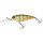 Illex / Jackall Flat DD Squirrel 79 SP Aggressive Perch