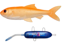 Pulz Bait Roach Kit Sarter Set 15cm Gold Fish