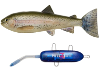 Pulz Bait Trout Kit Sarter Set 15cm Rainbow Trout