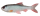 Pulz Bait Roach Skinz 20cm 1 Stück Natural Roach