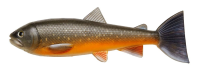 Pulz Bait Trout Skinz 20cm 1 Stück Arctic Char